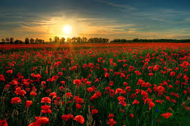 Morden Collegiate Remembrance Day Service November 7 