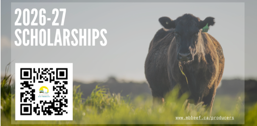 MB Beef Producers.PNG